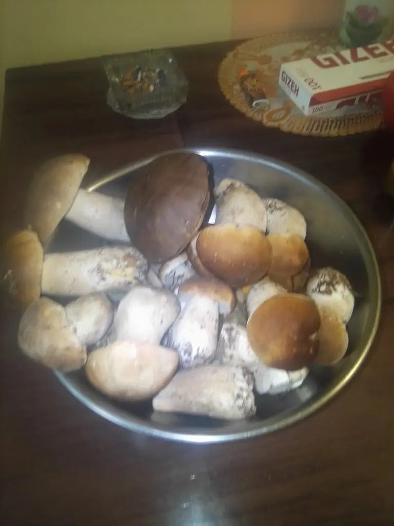 Menu_restaurace Kino_Hroznětín_immagine_4