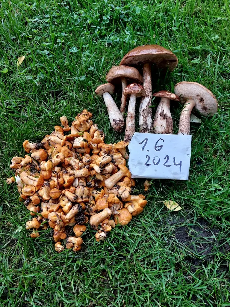 restaurace Kino_Hroznětín_slider_image_2