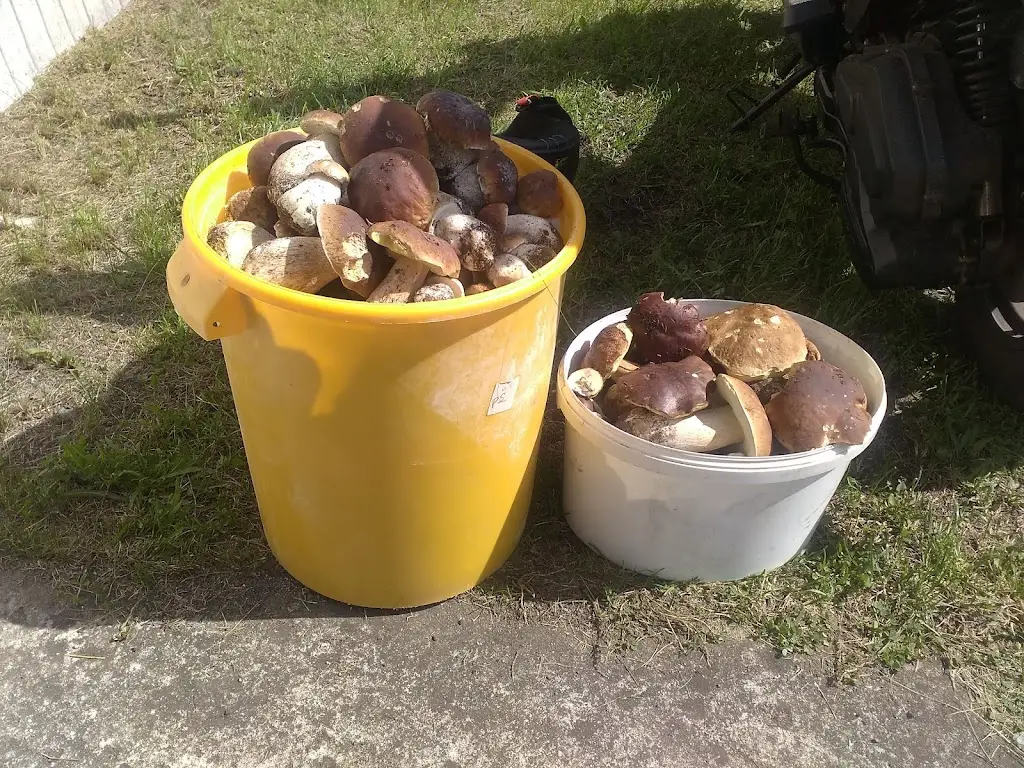 Restaurace Slunce restaurant in Hroznětín