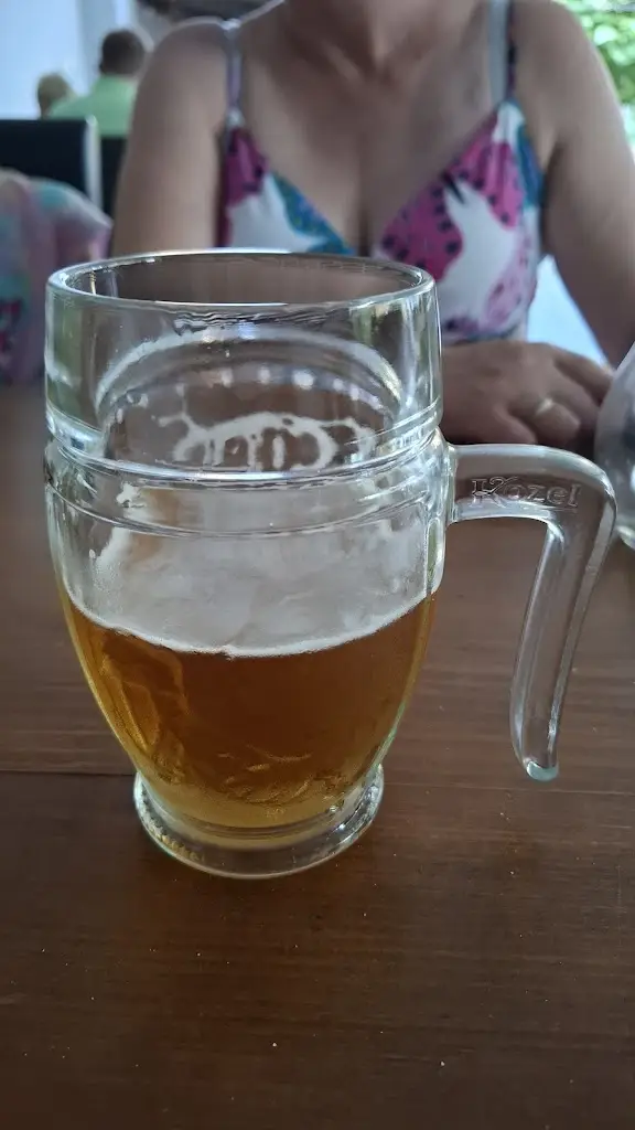 Johan Wijbenga_No.20 Komenského_Dačice_review