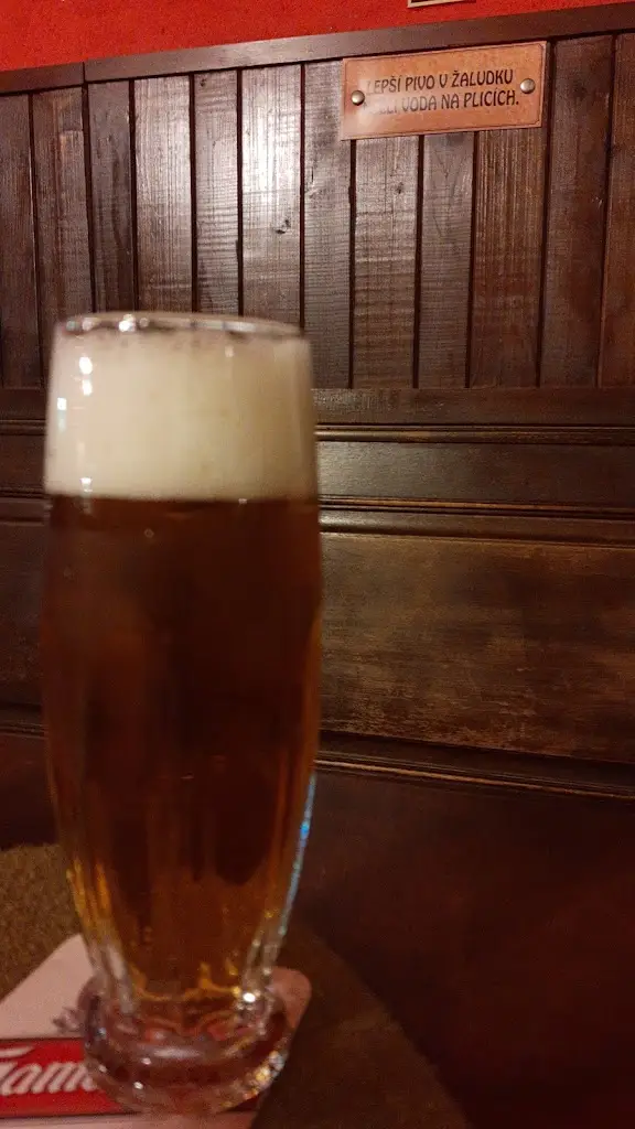 Vladimír Končal_Restaurace U Kašny_Kynšperk nad Ohří_review