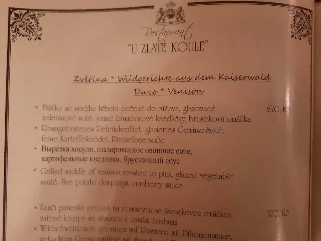 Menu_Restaurace U Zlaté koule_Lázně Kynžvart_immagine_2