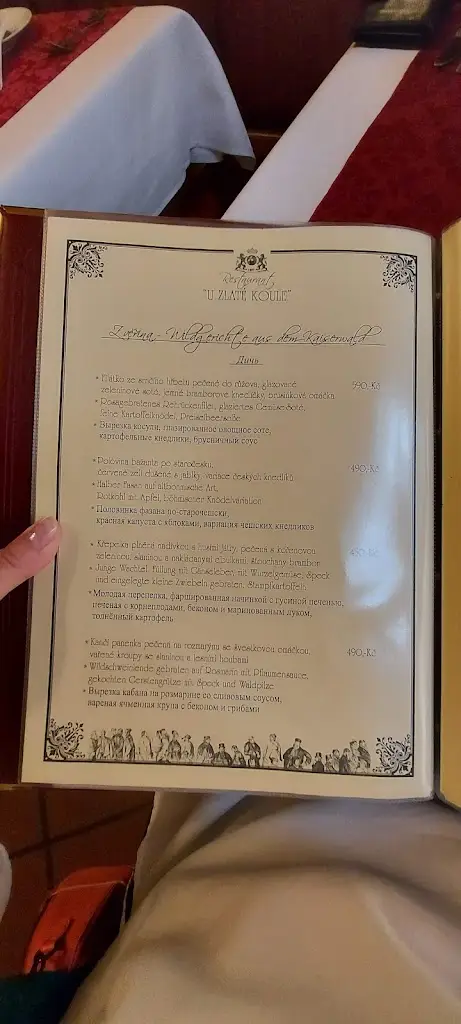 Menu_Restaurace U Zlaté koule_Lázně Kynžvart_immagine_4