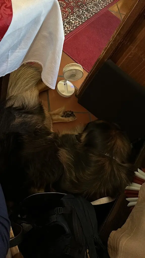 Charlot Christi_Restaurace U Zlaté koule_Lázně Kynžvart_recensione