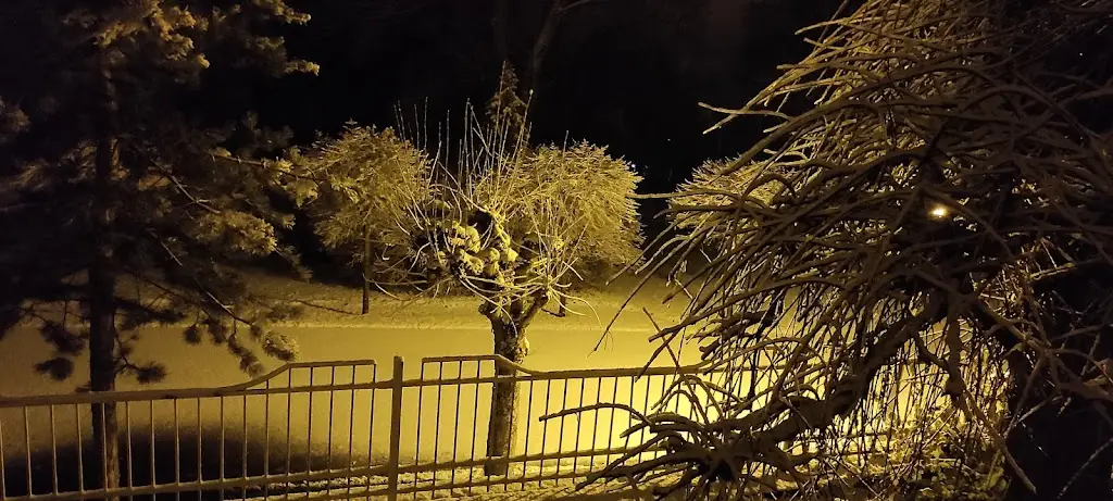 Emca Adamcova_Dětská Lázeňská Léčebna V Lázních Kynžvart_Lázně Kynžvart_review