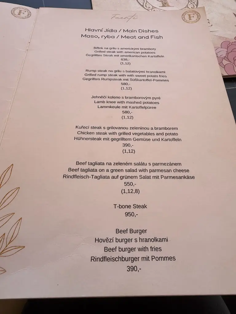 Menu_Fuente restaurant_Lázně Kynžvart_image_1