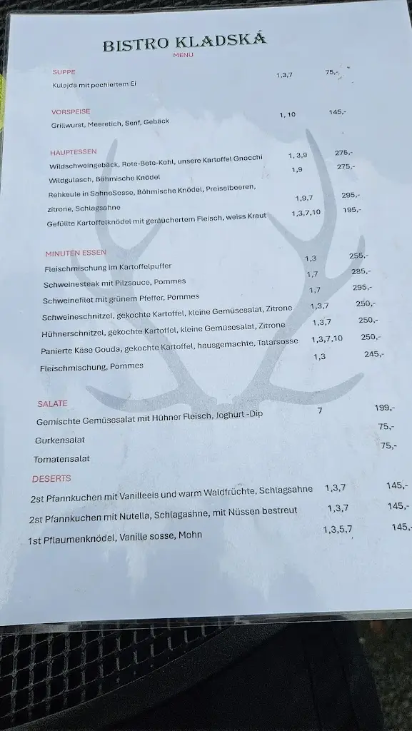 Menu_Myslivecká hospůdka_Lázně Kynžvart_image_1