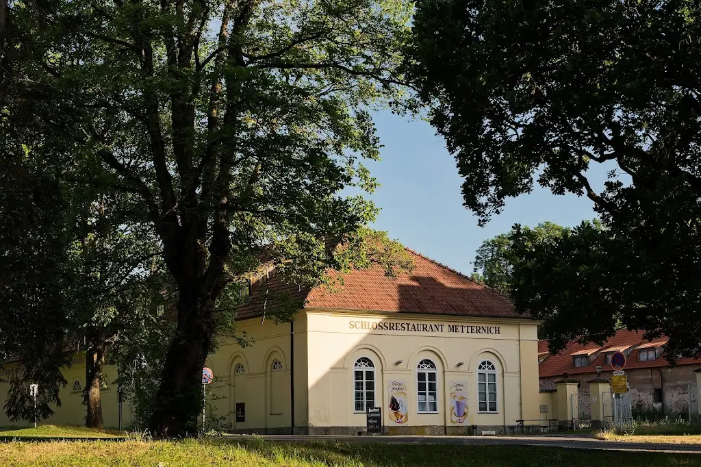 Zámecký restaurant Metternich restaurant in Lázně Kynžvart