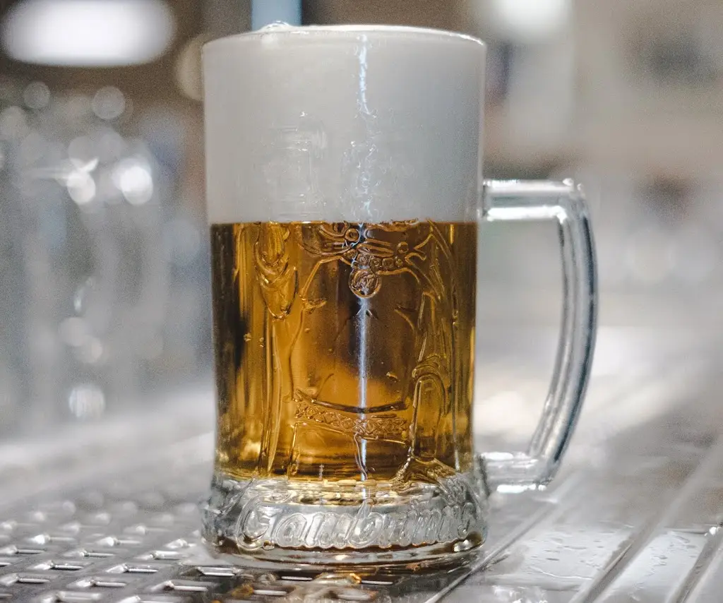 Menu_DolevDole_Sokolov_image_5