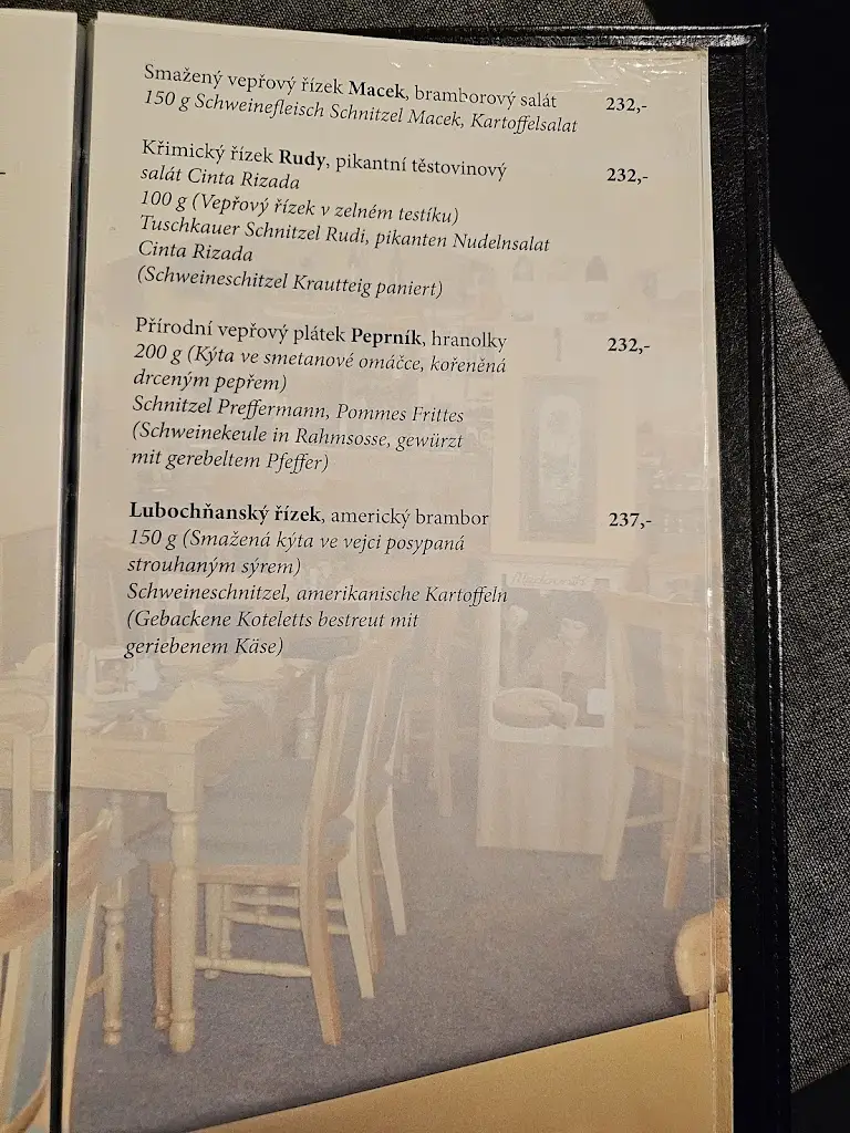 Menu_Restaurace Actus_Sokolov_immagine_3