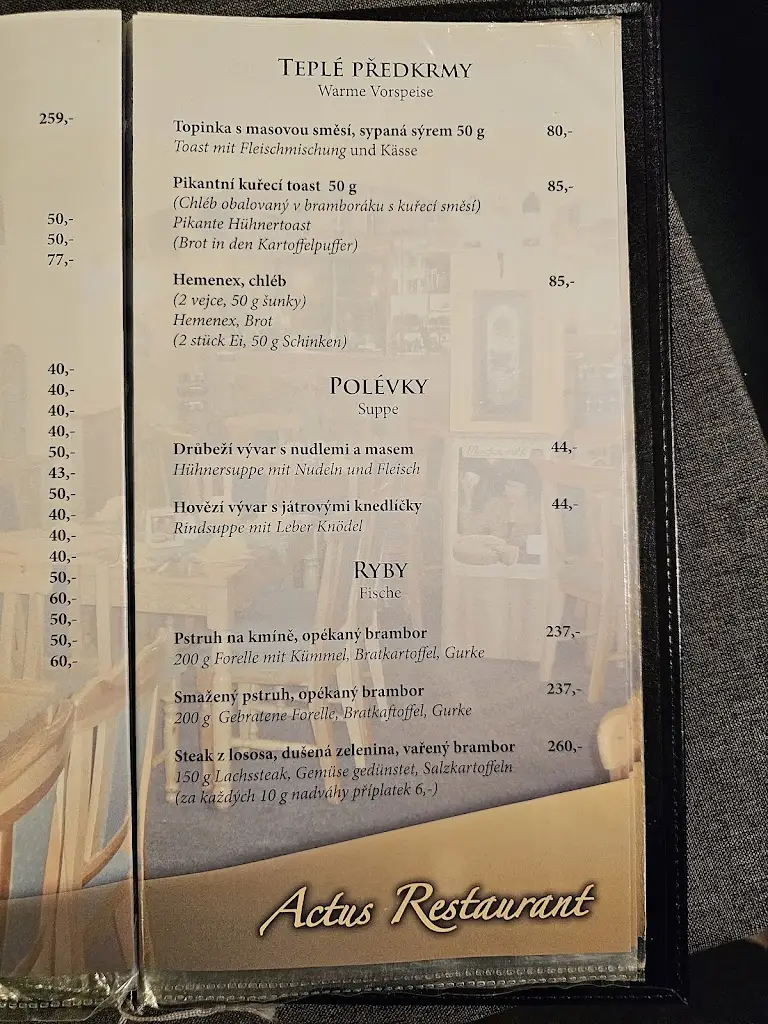 Menu_Restaurace Actus_Sokolov_immagine_4