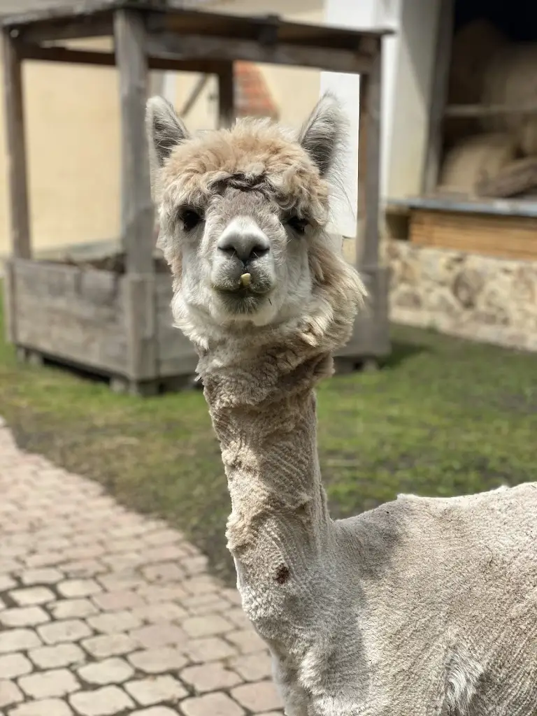 Vaclav J._Hotel Resort Stein_Skalná_review