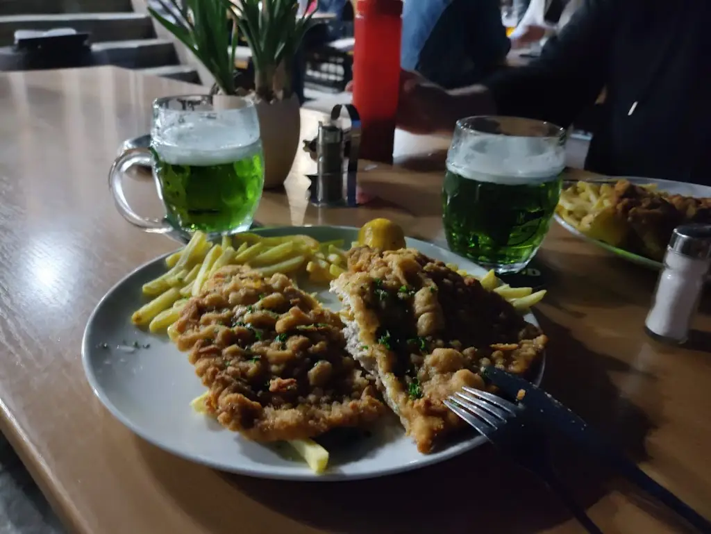 Michael Meyer_Schnitzel Franz_Skalná_review