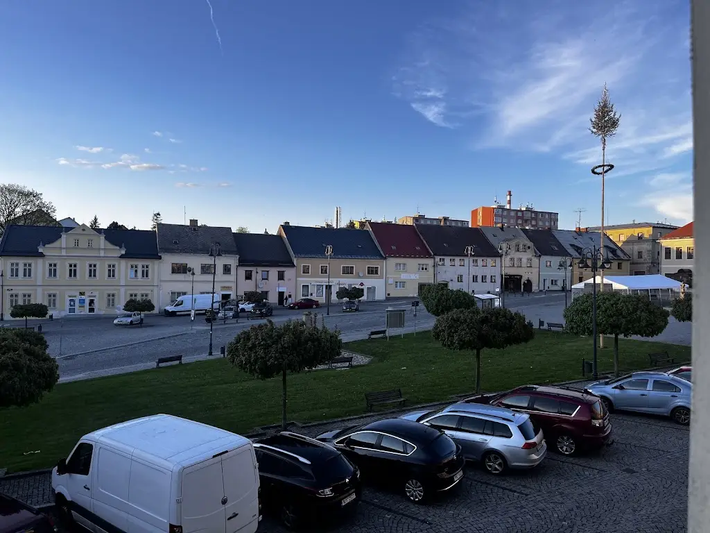 Jaroslav Zahrádka_Penzion Vladař_Toužim_review