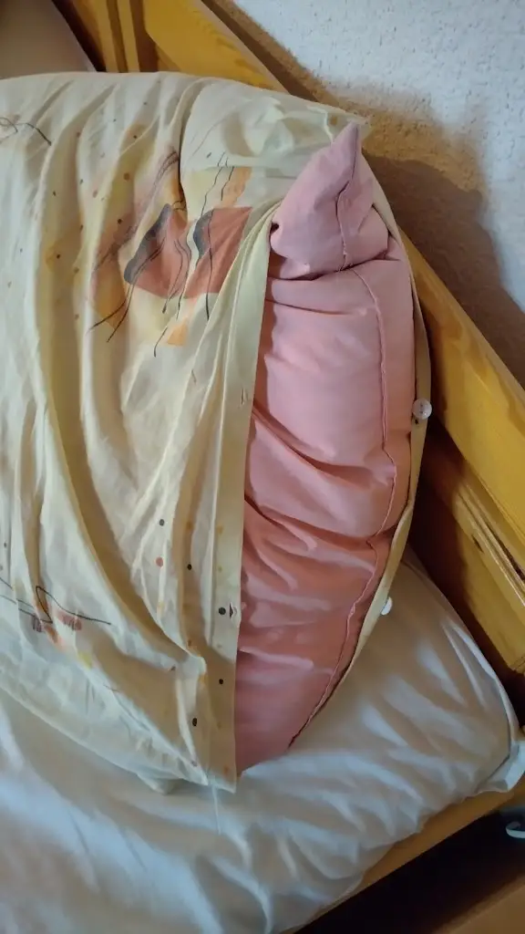 Jan Raab_Restaurace a penzion za rybníkem_Toužim_review