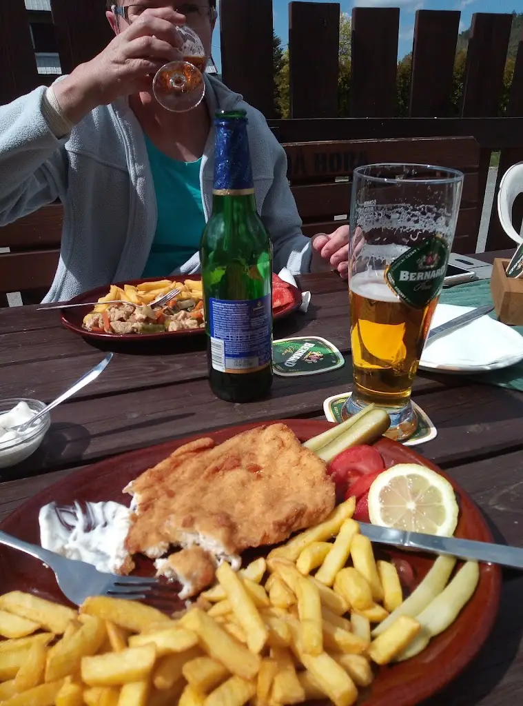 Menu_Motorest 66 Rovné_Bystřice nad Pernštejnem_image_4