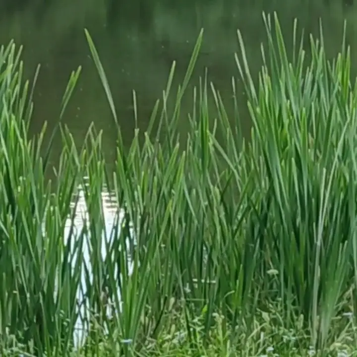 Hotel Skalský dvůr_Bystřice nad Pernštejnem_slider_image_2