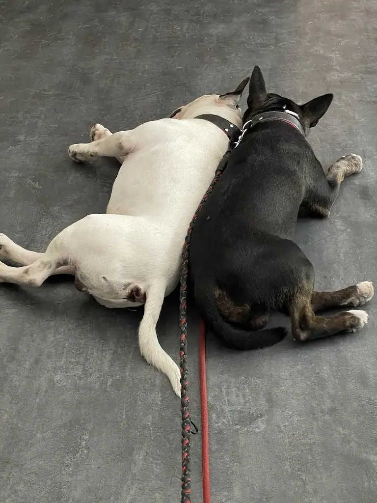 Eduard Dymáček_COOPHB PUB_Chotěboř_review