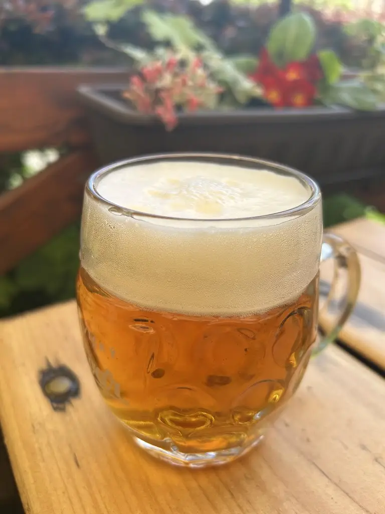 Erica Oh_Restaurant Jelenka_Český Krumlov_review