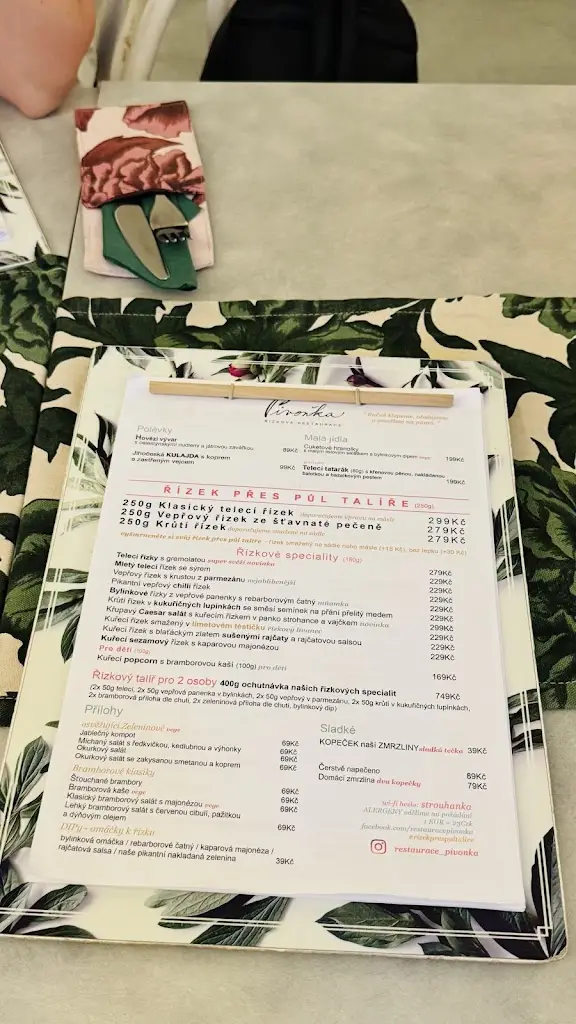 Menu_Řízková restaurace Pivoňka_Český Krumlov_immagine_1