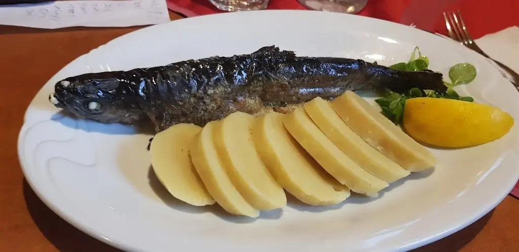 Caitlin T_Plzeňská restaurace U Kapra_Dolní Cerekev_review