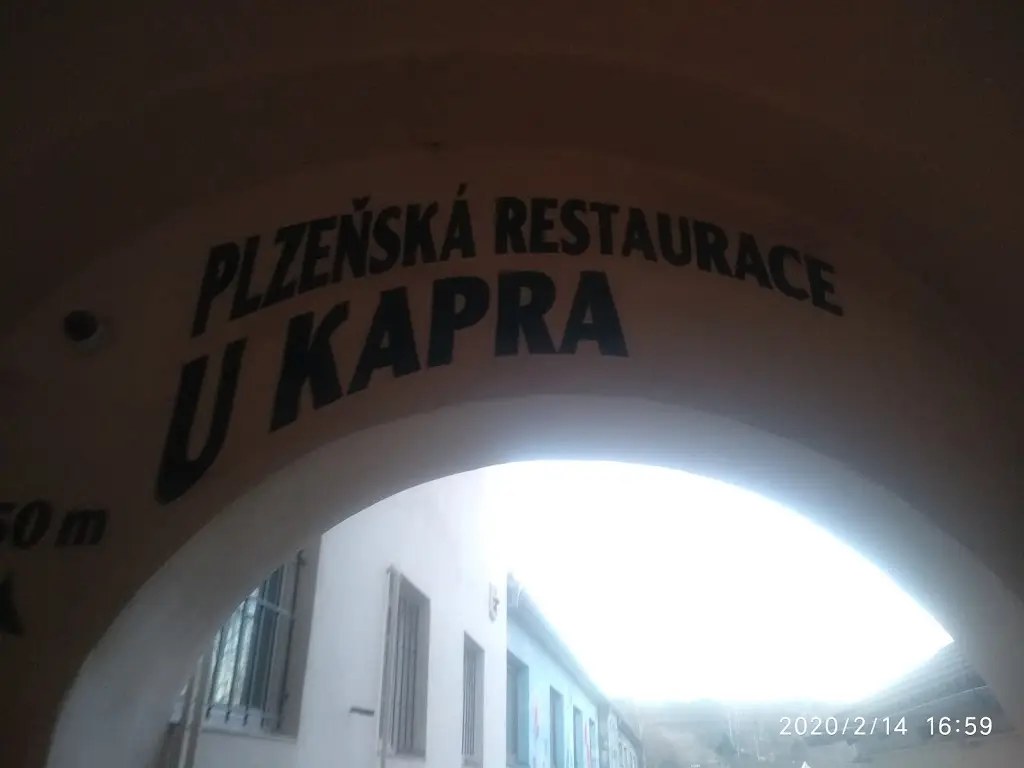 Александр Лупсяков_Plzeňská restaurace U Kapra_Dolní Cerekev_review