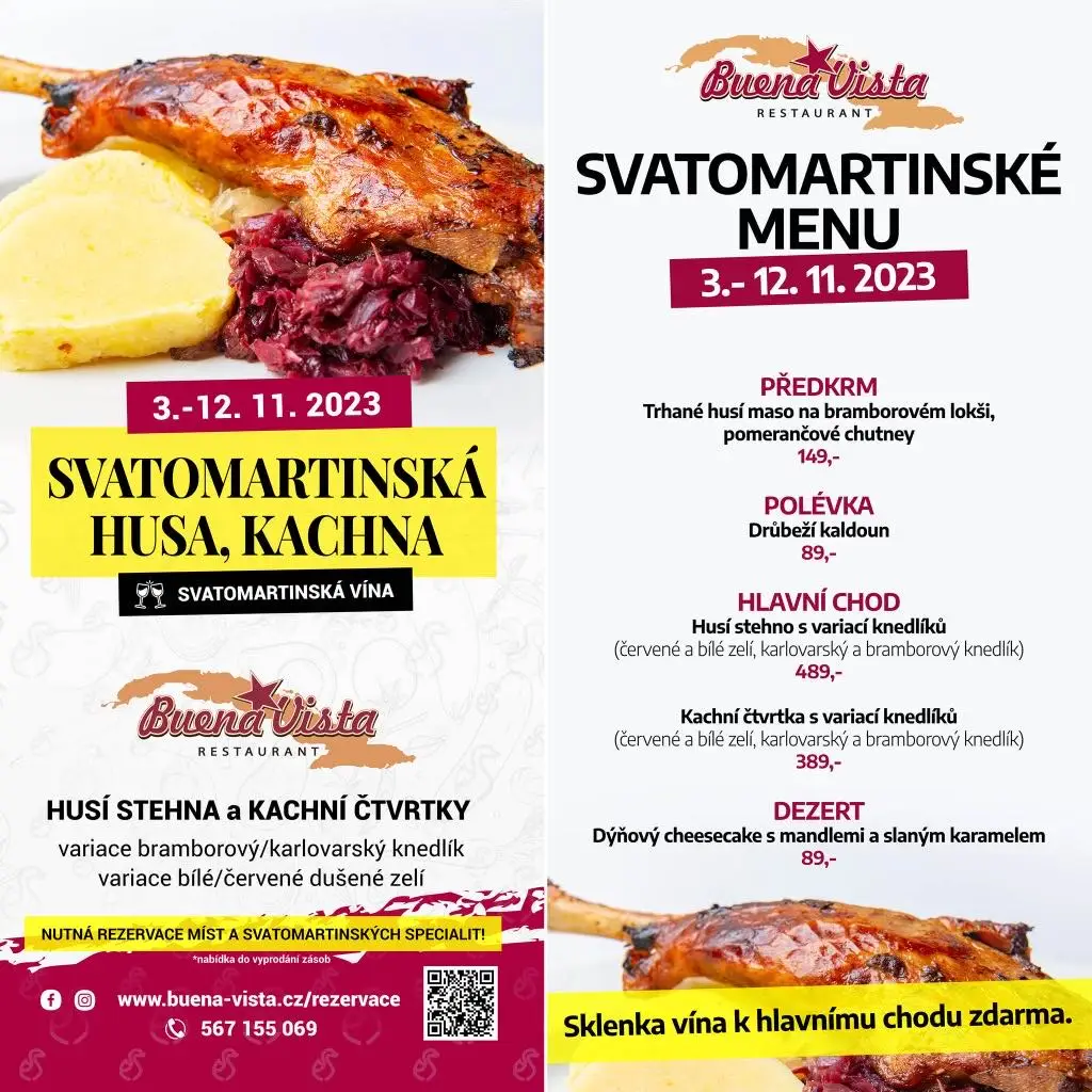 Menu_Buena Vista - Restaurant_Dolní Cerekev_image_2