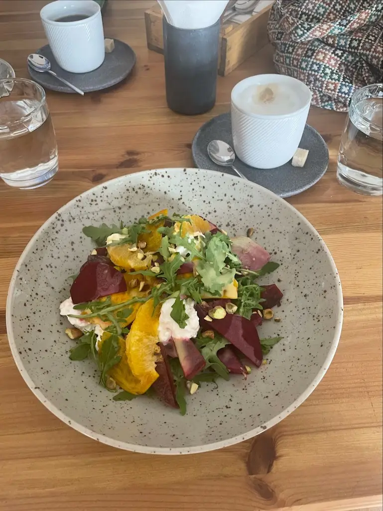 Astrid Claessens_KONZOOM_Humpolec_review