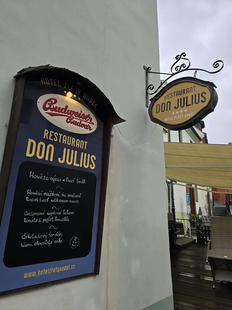 Dr.Arnon Wong_Don Julius Restaurant Český Krumlov_Český Krumlov_review