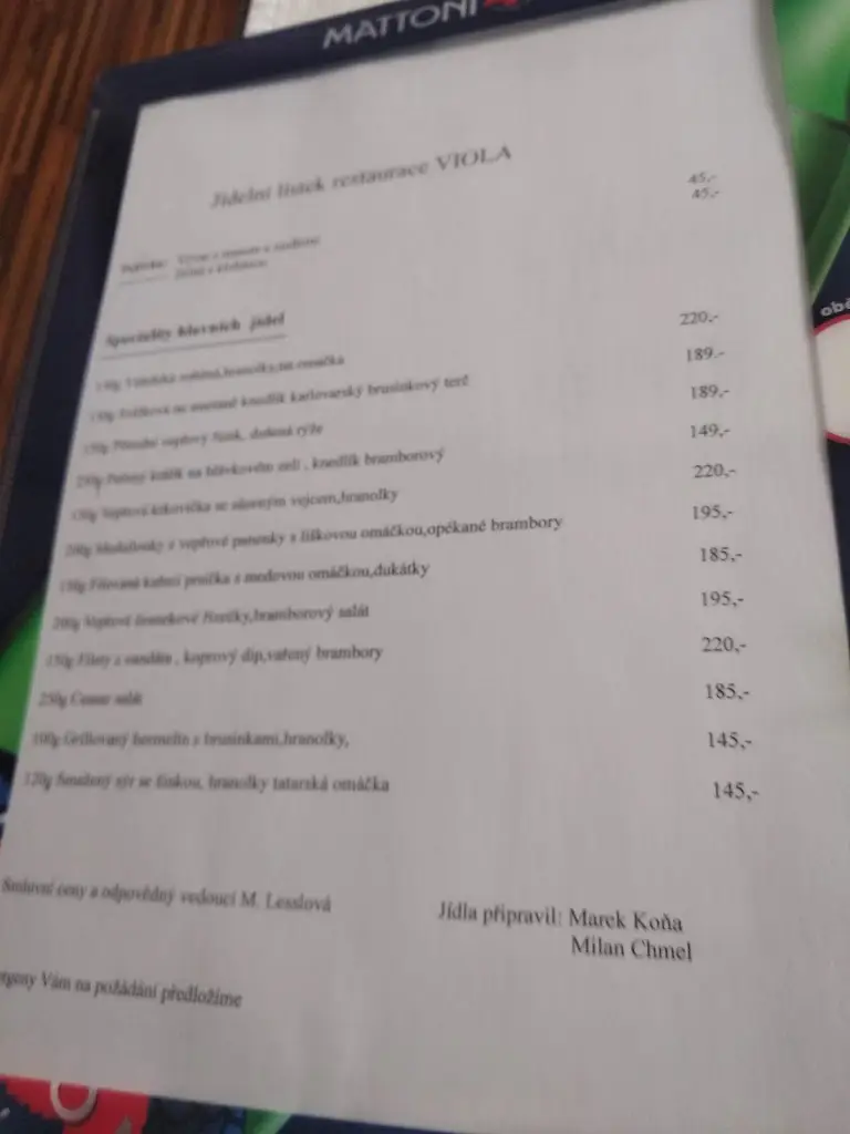 Menu_Restaurace Viola-lessl_Jaroměřice nad Rokytnou_image_2
