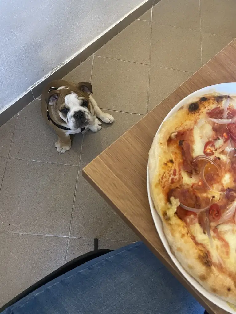 Šárka Nykrmajerová_La Jemizza_Jemnice_review