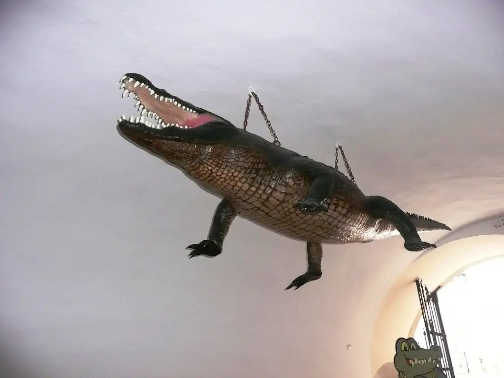 Hotel Grand Jemnice_Jemnice_slider_image_2