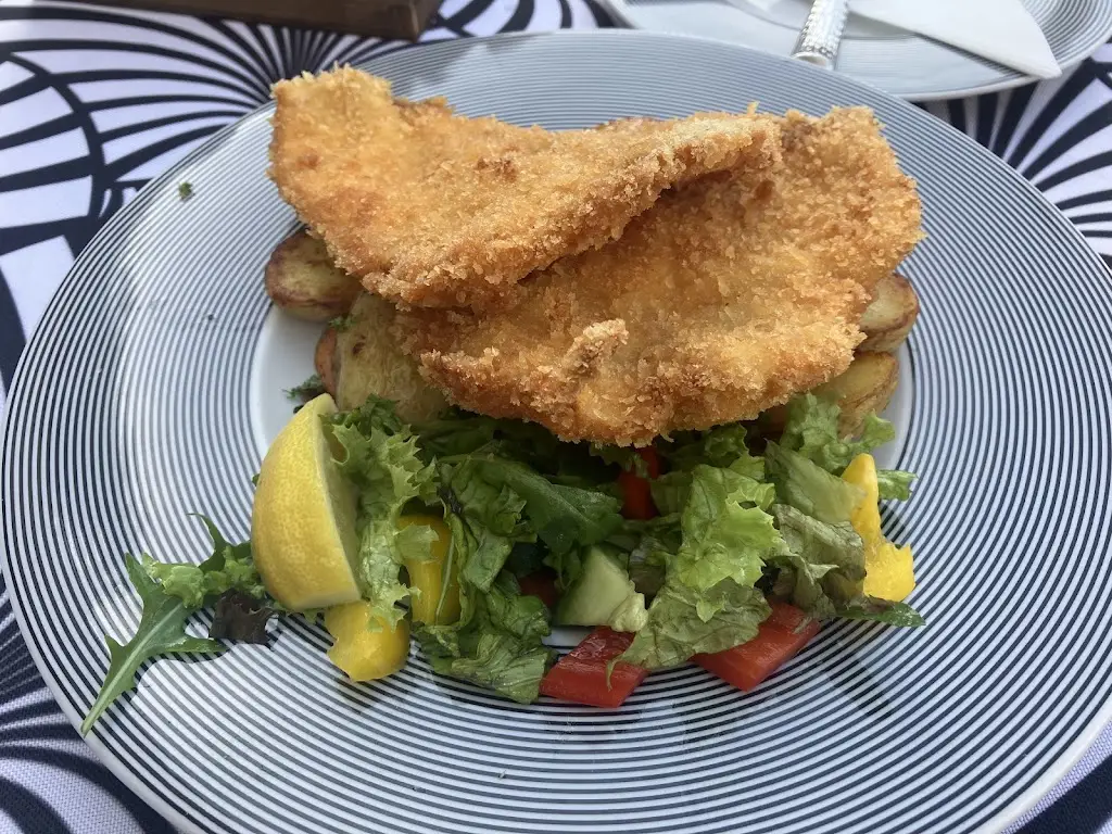 Tree Old_Authentic cafe_Český Krumlov_review