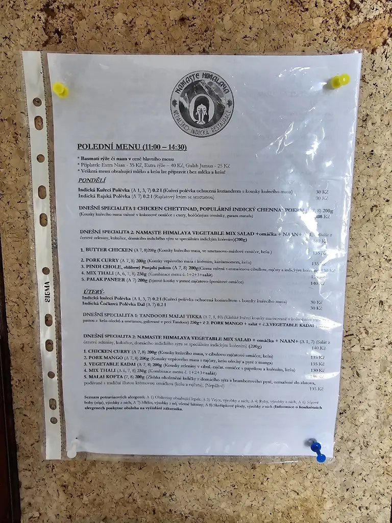 Menu_Indická a Nepálsko Restaurace, Namaste Himalaya, Jihlava_Jihlava_image_1