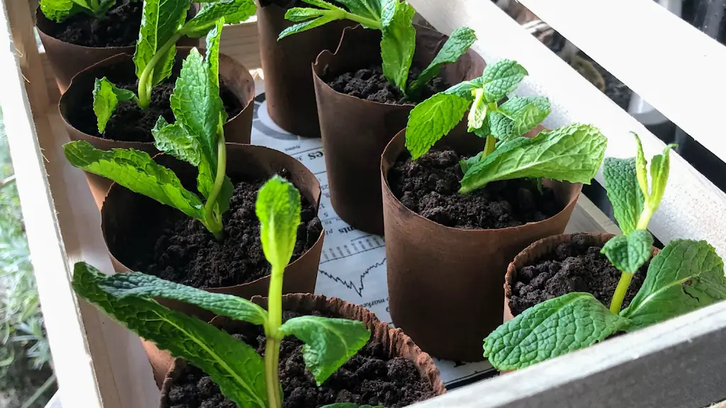 Zverimex BistroBar_Jihlava_slider_image_3