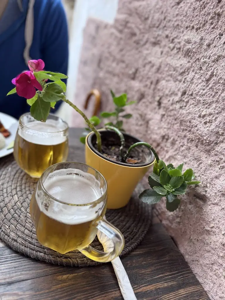 Florian Fleurop_Laibon_Český Krumlov_review