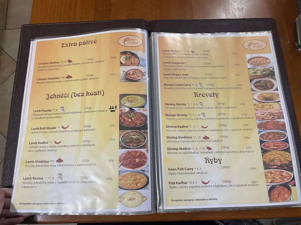 Menu_Taste of India_Havlíčkův Brod_image_2
