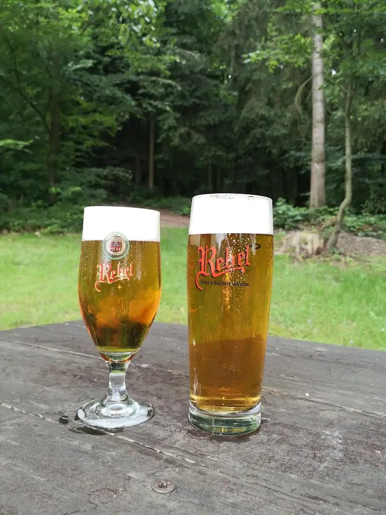 Petr Maule_Penzion a hospůdka u Štěpánků_Ledeč nad Sázavou_review