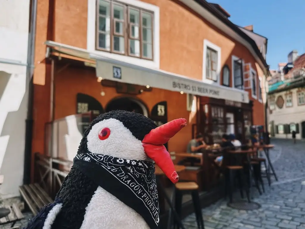 Lifeguin_Bistro 53 Beer Point_Český Krumlov_review