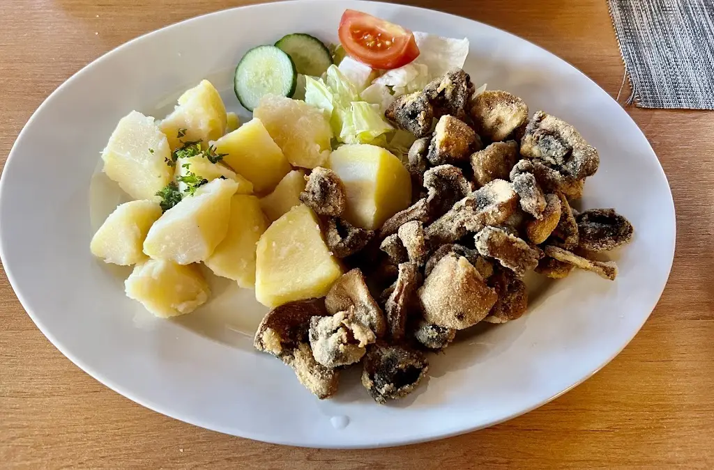 Roman K_Motorest Lípa_Lípa_review