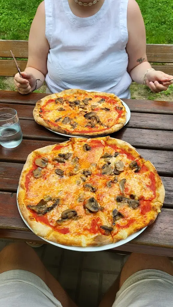 jeffrey Oldenkamp_Tartaruga_Lípa_review