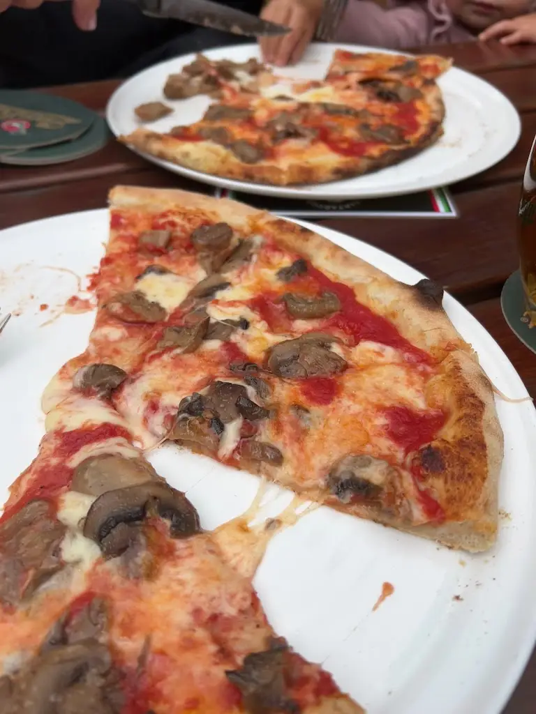 Tartaruga_Lípa_slider_image_2