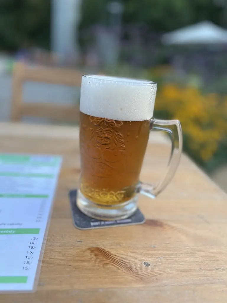 Vladimír Růžička_Hospůdka na Hájku_Náměšť nad Oslavou_review