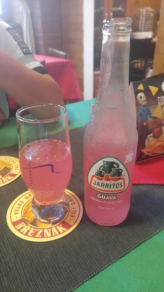 Veronika Brnická_Dům U Bílé Růže_Nové Veselí_review