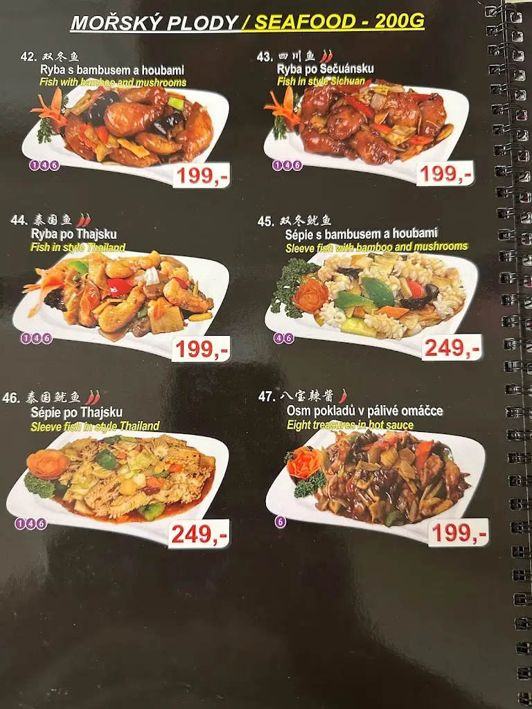 Menu_Čínská restaurace SHU Xiang Lou（蜀香楼）_Okres Pelhřimov_image_3