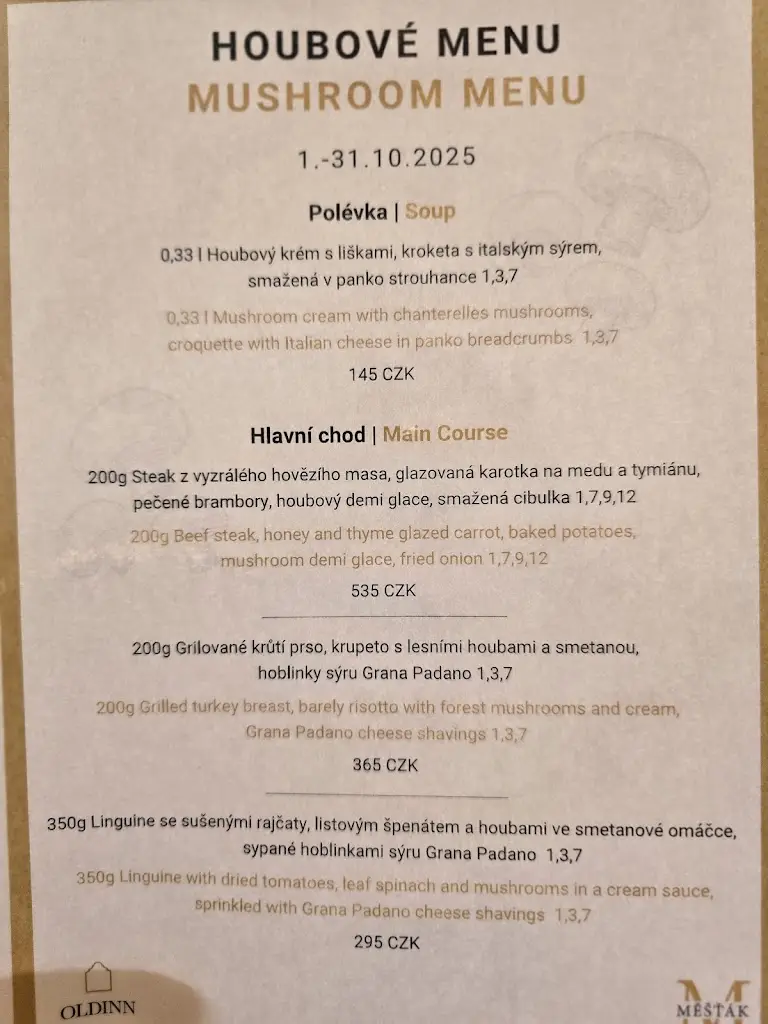 Ginger Bihm_Bistro Měšťák_Český Krumlov_review