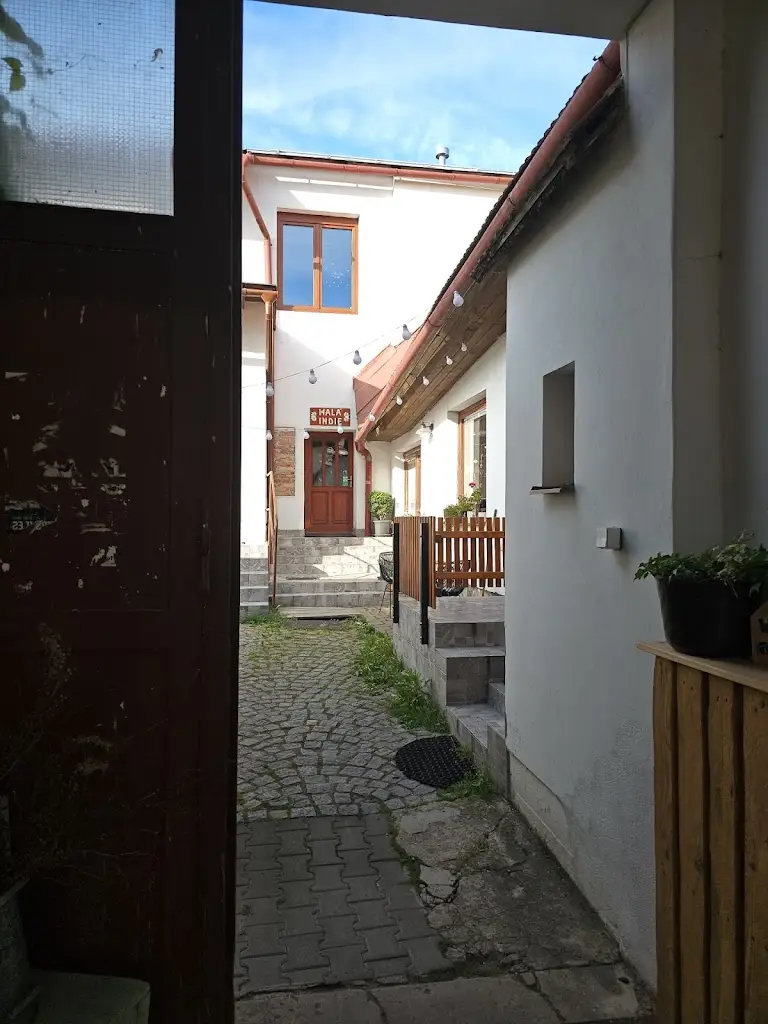 Tomáš Dobrý_Malá Indie Restaurant_Nové Město na Moravě_review