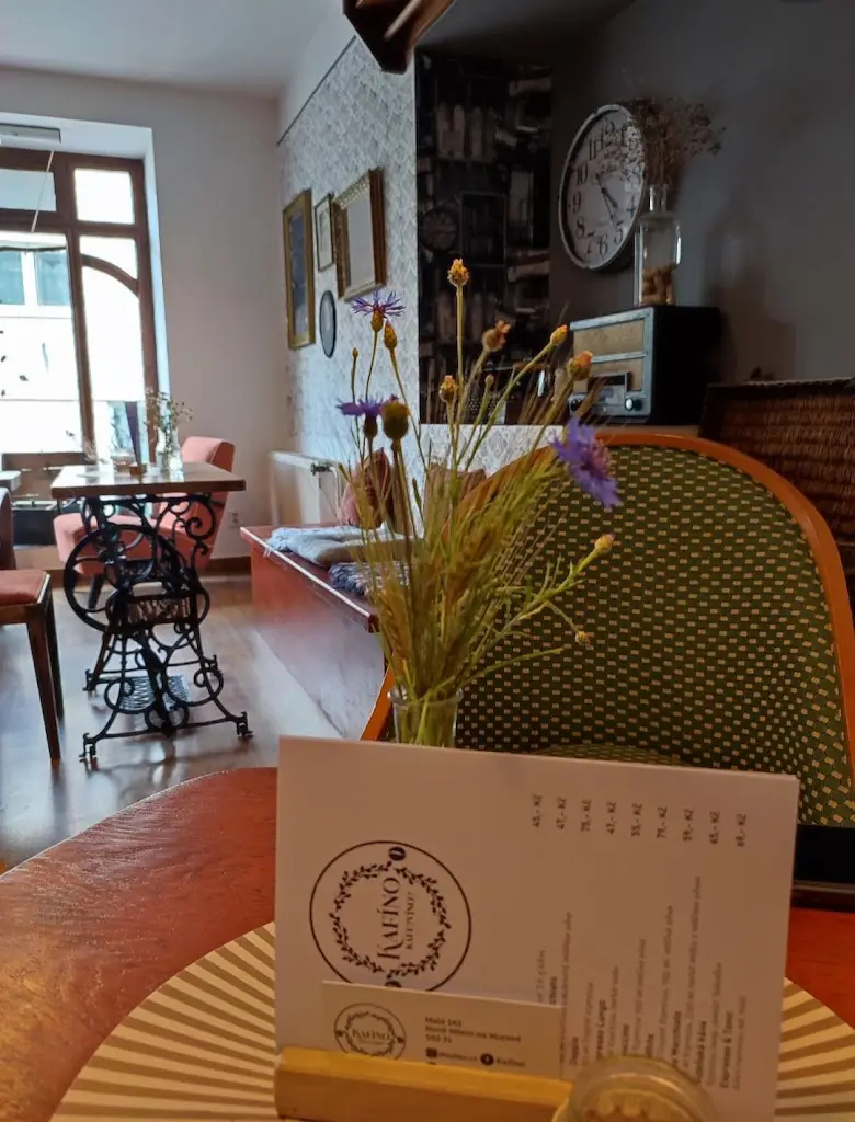 Jana Mifková_Kafíno_Nové Město na Moravě_review