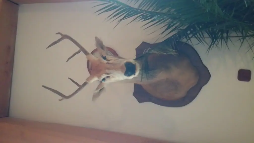 Polnička restaurant_Okres Žďár nad Sázavou_slider_image_2