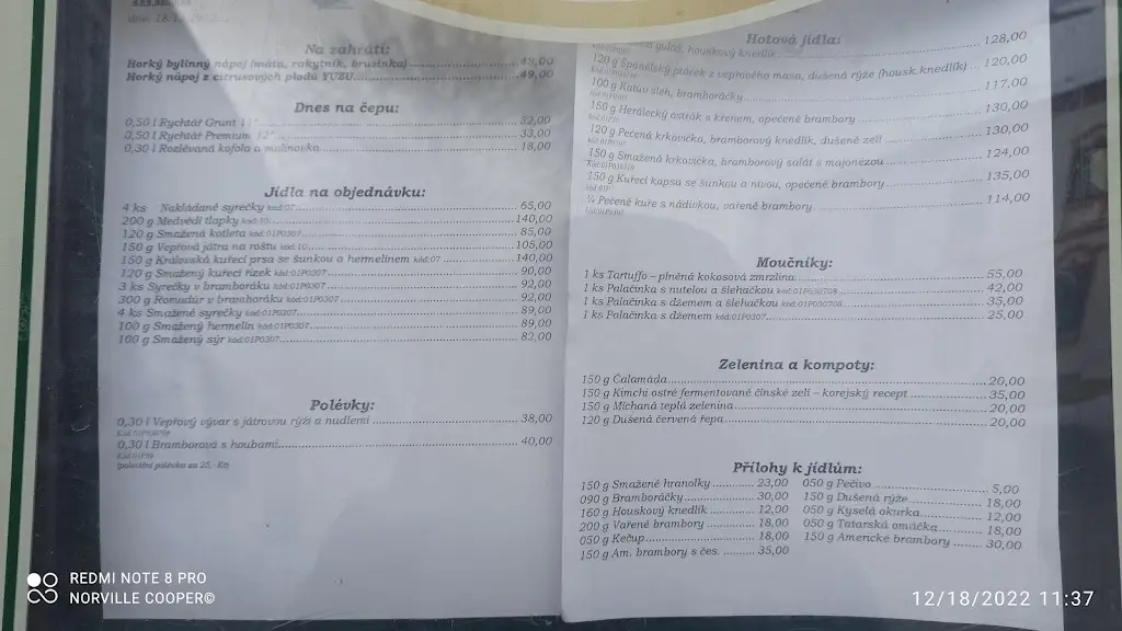 Menu_Süss' public house_Okres Žďár nad Sázavou_immagine_2